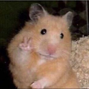 Meet your Posher, Jasmin